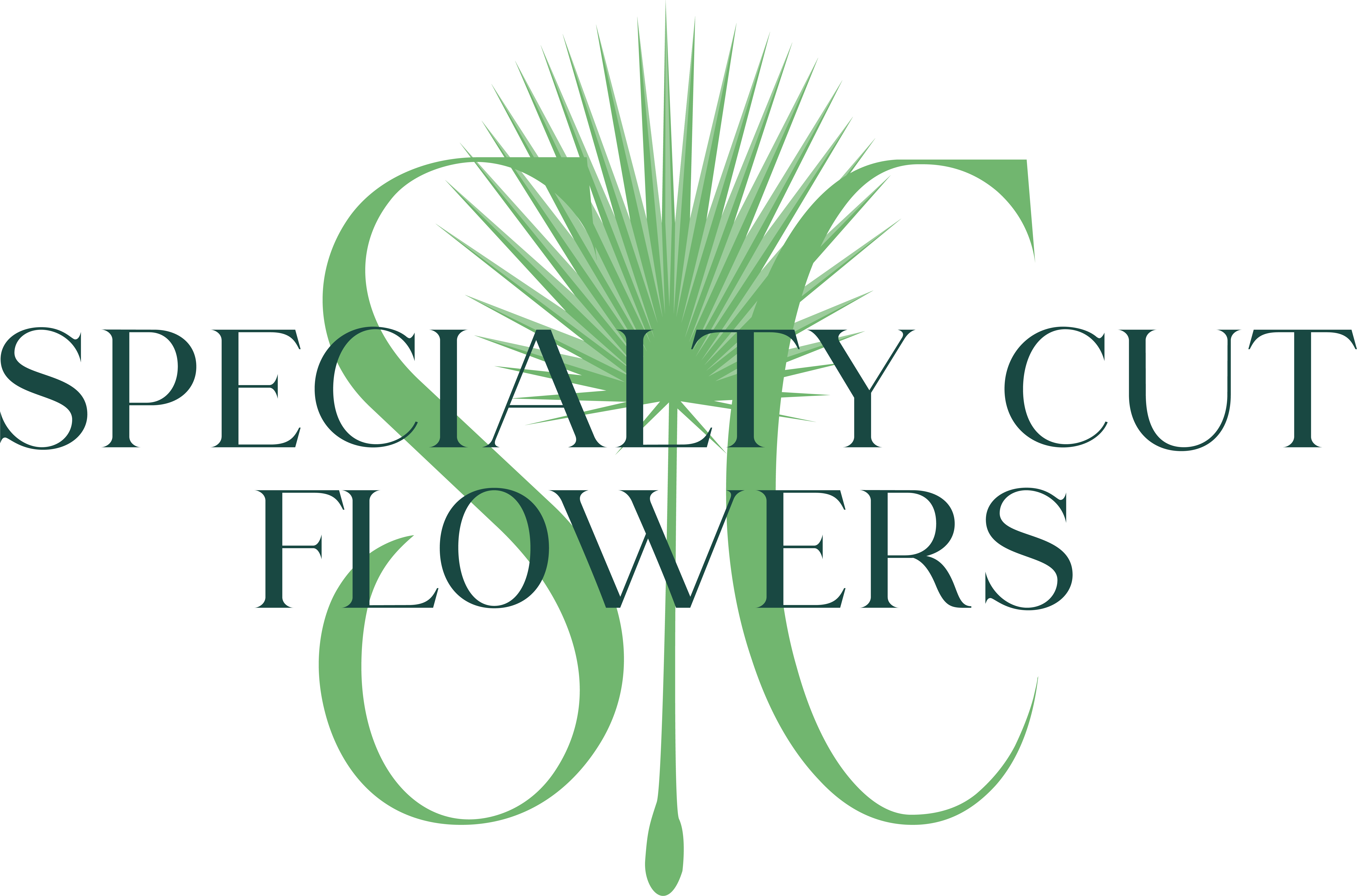 SC Specialty Cut Flowers